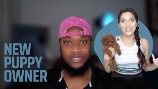 TOY POODLE BREEDER REACTS: FIRST DAYS with a NEW PUPPY | Stefania Briella Vlogs