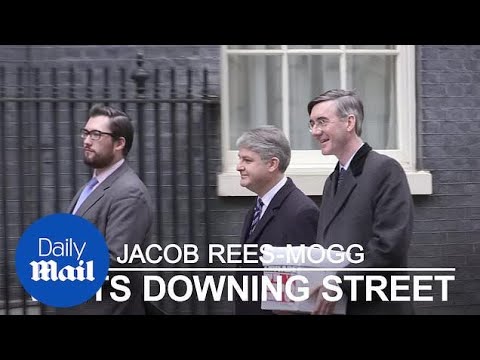 Jacob Rees-Mogg visits Downing Street with foreign aid petition