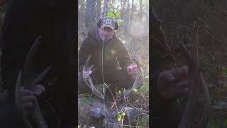 Ungarn 2023 im November 🇭🇺 Hirsch und Kahlwildjagd von  ⁨@Hunterfieber⁩