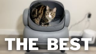 Neakasa M1 Automatic Cat Litter Box Review | Best Litter Box?