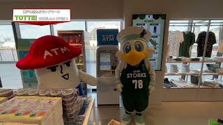 神戸ストークスのマスコットキャラクター　ストーキー