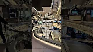 Msc World Europa 🚢  Galleria #mscworldeuropa