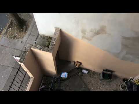 515 S 12th Street - Video 2 of 2