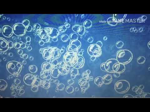 The Hambob Chimppants Movie Trailer