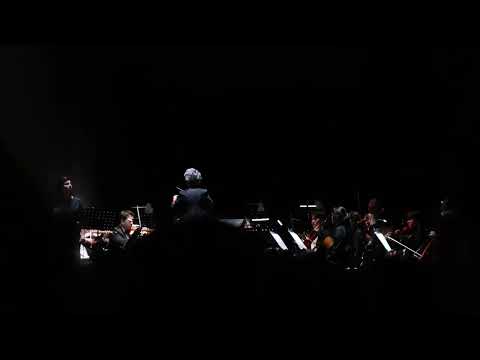 Vogel im Käfig - Attack on Titan Beyond the Walls tour 250601