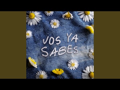 Vos ya sabes