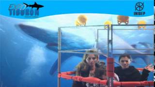 DIA 2 Expo Tiburon301