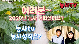농사TV 2020년 한해 오이, 마늘, 고추, 참깨, 들깨, 배추, 벼 작목별 농사 성적 평가 [농사TV]