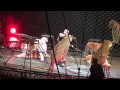 Circus 2013