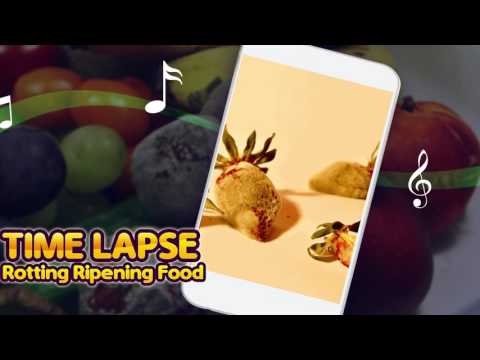 Time Lapse Video Wallpaper Video