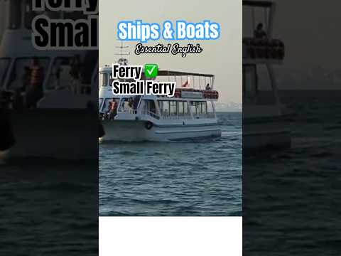 🛳️ What is a Ferry? What is a Small Ferry? What are Ferries used for? #ferry #ferries #ferryservice