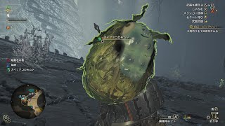【MHWilds】カイフクコロモムシは可愛い顔してる