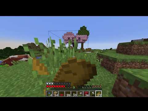 Minecraft No Commentary Lets Play Part 11 Winery is taking shape