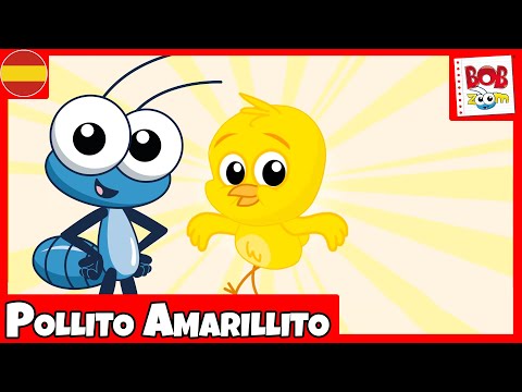 Pollito Amarillito - Bob Zoom - Español