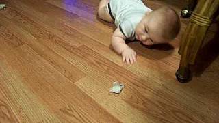 Gabe learning to crawl @ 6 months
