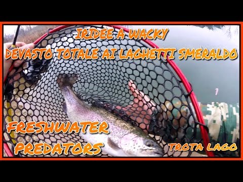 IRIDEE A WACKY... DEVASTO TOTALE AI LAGHI SMERALDO