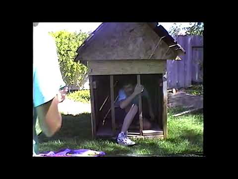 David Copperfield Magic Show