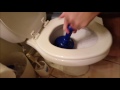 Kid Temper Tantrum Clogs The Toilet Original 13K Subscribers Special
