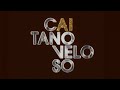Caetano Veloso – Todas as capas de disco animadas com IA