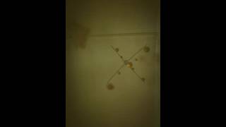 A Minute of Your Time