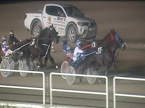 Trotto 21/12/2018 - 6ª corsa