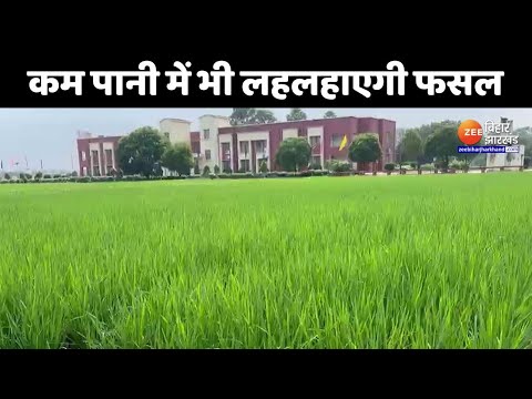 Zee Bihar Jharkhand