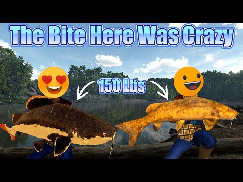 Maroon River Holds Some River Monsters |Fishing Planet