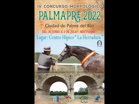 Palma PRE - Concurso Morfológico de PRE Categoría 2* Clasificatorio para SICAB