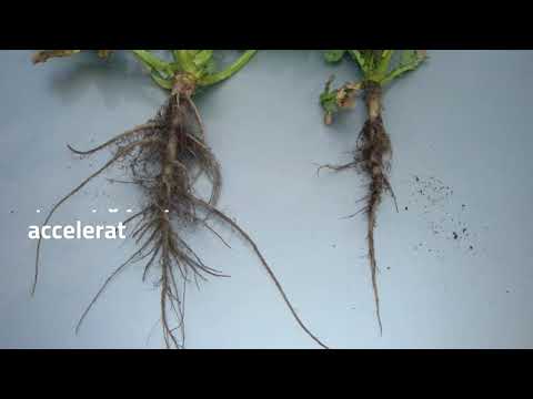 Promotie Terra-Sorb Complex - Start Rapid si Siguranta culturii tale!