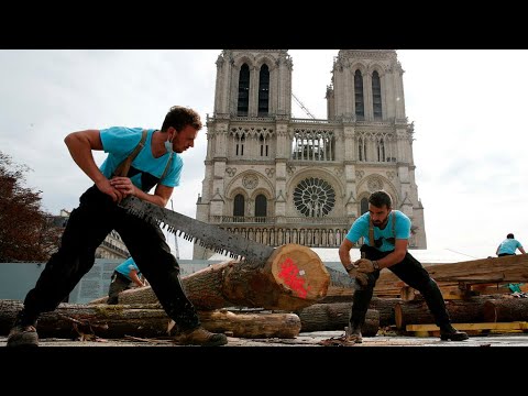 In pictures: Notre-Dame Cathedral three years after the fire • FRANCE 24 English