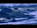 Amazing 4K Snow Scenery - UHD - Samsung, Sony ...