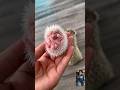 Cute haha yeah don’t touch #hedgehoglover #mommybaby #cute #animals #ShortVideo #trending #game😎💋🤠
