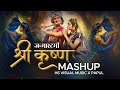 Shree Krishna Mashup 2024 Janmashtami Special HS Visual Music X Papul Radha Krishna Songs