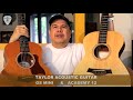Taylor GS Mini Vs Academy 12 Acoustic Guitars Comparison Edwin E