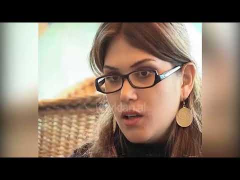 Dita ndërkombëtare kundër dhunës ndaj gruas, CAO projektligj për dhunën në familje - 25 Nëntor 2005