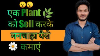 Online plant nursery|online business ideas2020|Sell plant online|Make money online|online plantworld