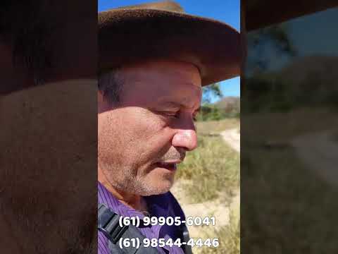 🚨 EXCELENTE FAZENDA À VENDA EM PADRE BERNARDO – GOIÁS 🚨