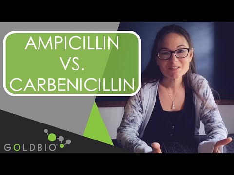 Campicillin 500 mg, ampicillin capsules