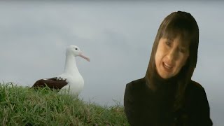 The Seekers - The Last Thing on My Mind