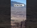 Why Are the Scottish Highlands Almost Treeless?