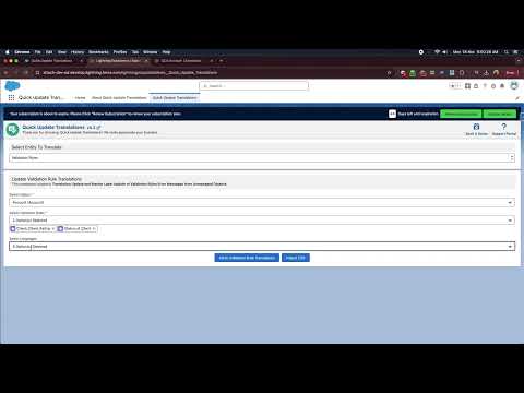 Validation Rule Error Translations Demo