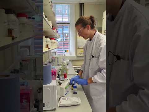 A day in the life of a research assistant | Ineos Oxford Institute