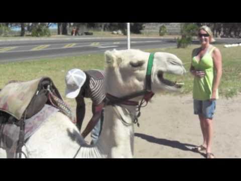 Leaked Bannerlord Concept Art Mount Blade Ii Bannerlord En