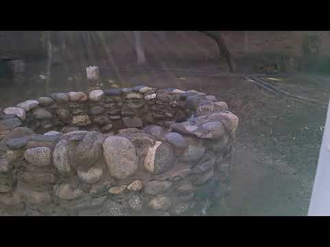 San Francisco del Monte de Oro - Escuela de D. F. Sarmiento 2