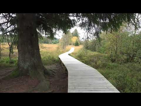 Fagne Poleur- Polleurvenn (Belgium)