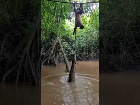 Des animaux sauvages et adorables pris en photo !