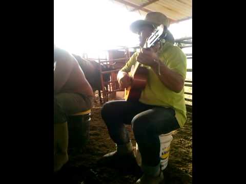 Un Guayabo empedernido...