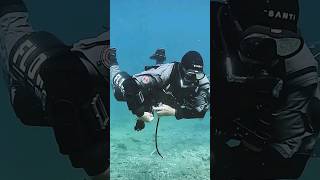 Learn about the origins of sidemount diving. #howto #underwater #scuba #art  #learn