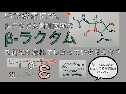 薬学科 ［学部生以上向け］ラクタム