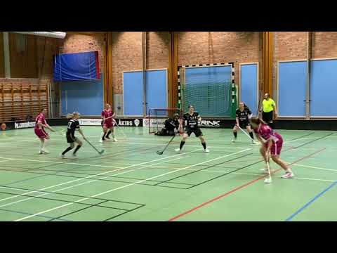 Highlights Dam Div.1 Skåne Åstorp/Kvidinge IBS - Malmö FBC 2-9